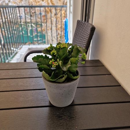 Luxury Apartment In Attiki Athén Szoba fotó